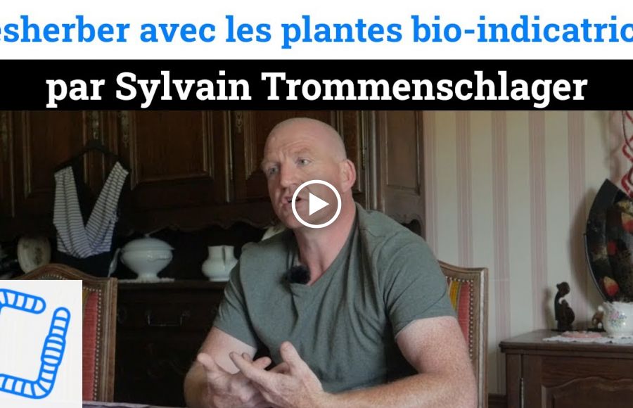 Plantes Bio indicatrices en grandes cultures