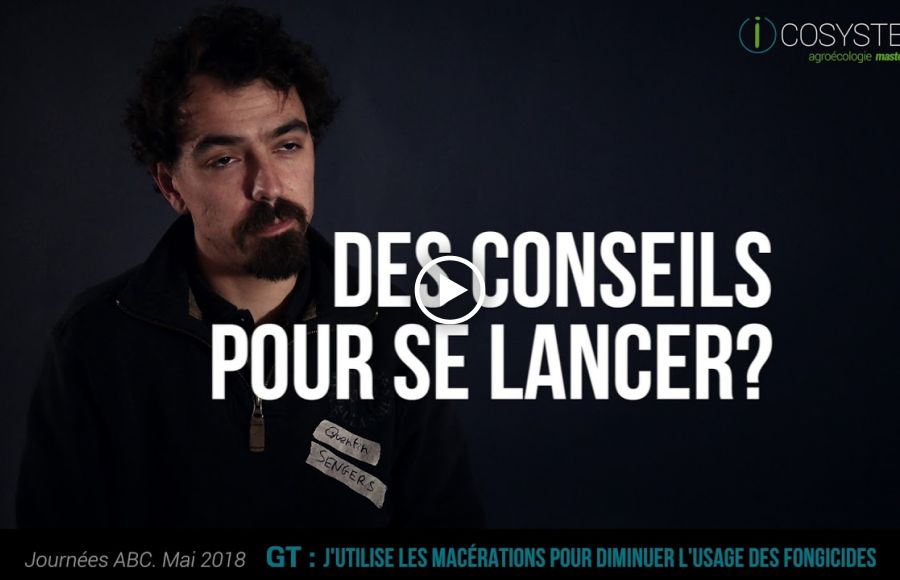 Utilisations des macérations par Quentin Sengers