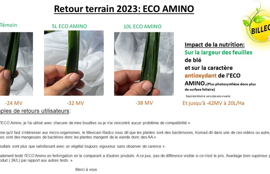 Retour terrain ECO AMINO