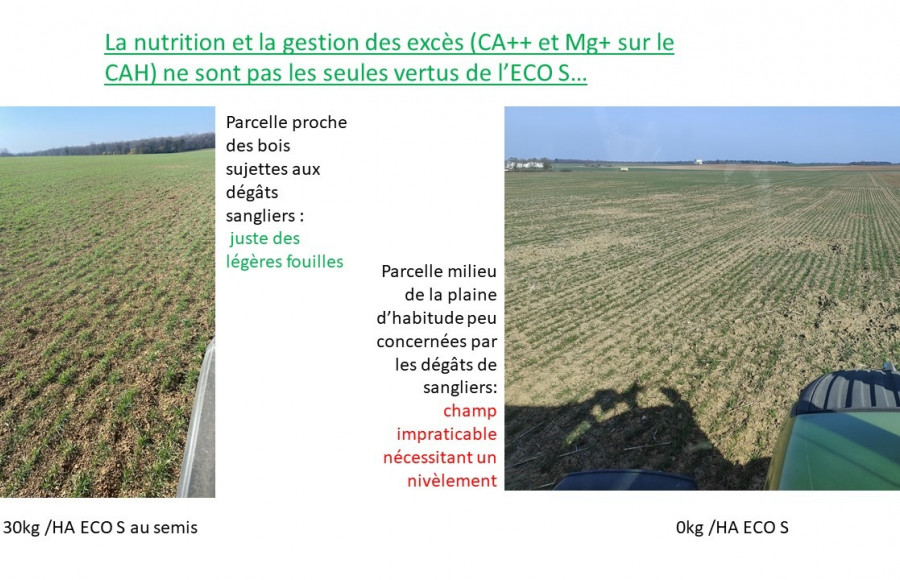 Les vertus de l&#039;ECO S sont nombreuses