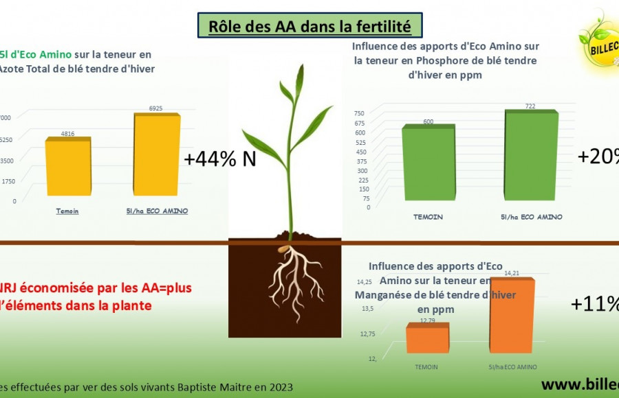 ECO AMINO des effets quantifiés au champ