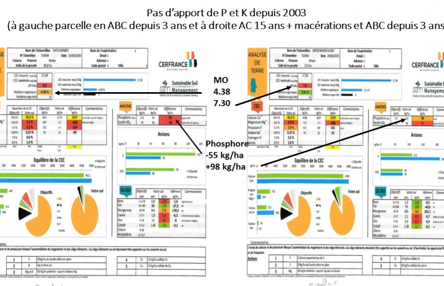 Fertilité LT