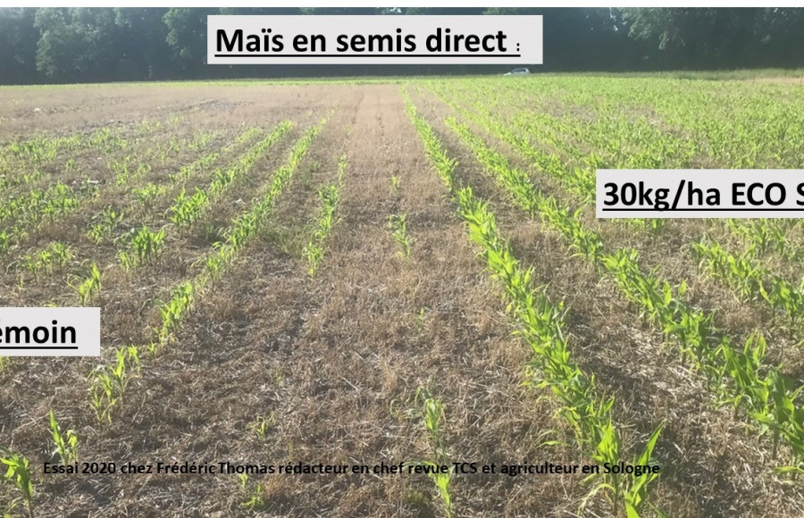 ECO S sur Maïs