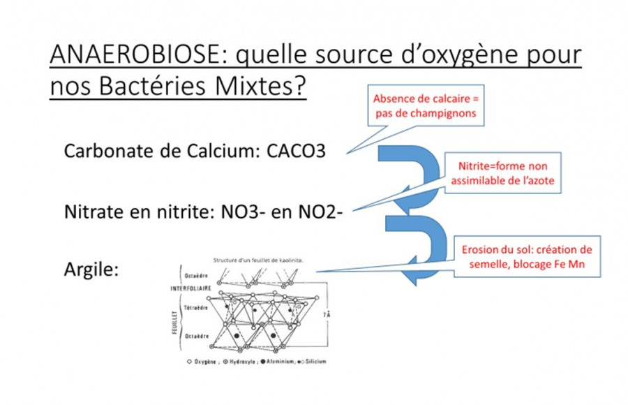 L&#039;anaérobiose....