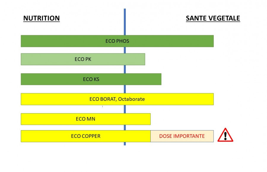Différentes utilisations
