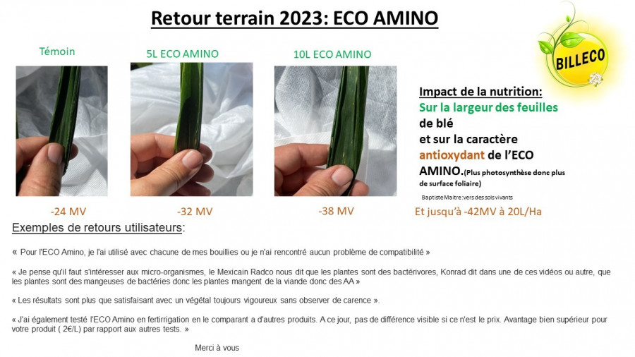 Retour terrain ECO AMINO