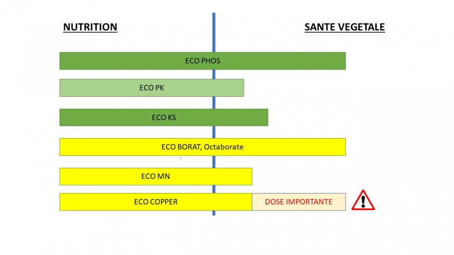 Différentes utilisations