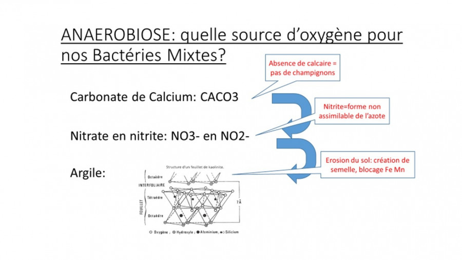 L&#039;anaérobiose....