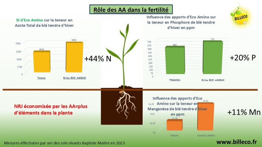 ECO AMINO des effets quantifiés au champ
