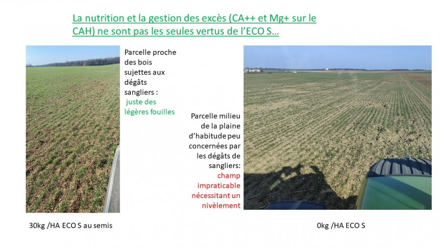 Les vertus de l&#039;ECO S sont nombreuses
