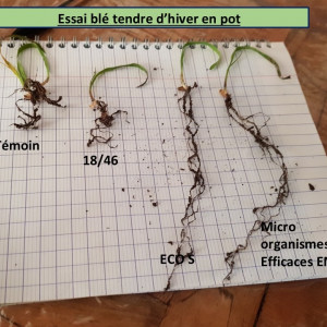 Pourquoi j'ai arrêté les engrais de fond il y a plus de 20 ans.