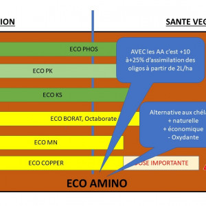 Différentes utilisations