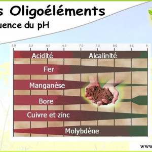 Soufre Elémentaire comme libérateur du CAH