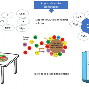Soufre Elémentaire comme libérateur du CAH