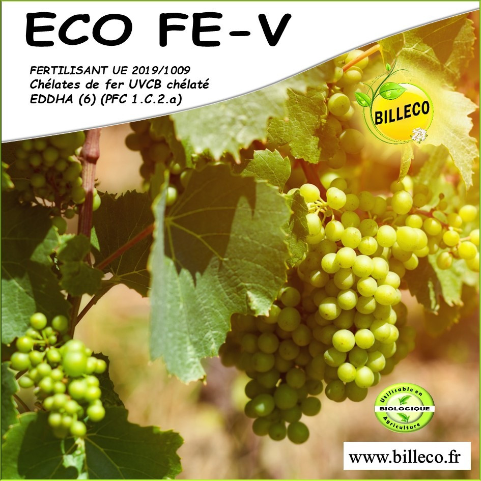ECO FE-V - Fertilisant UE 2019/1009 / Chélates de Fer UVCB chélaté EDDHA (6) (PFC 1.c.2.a)