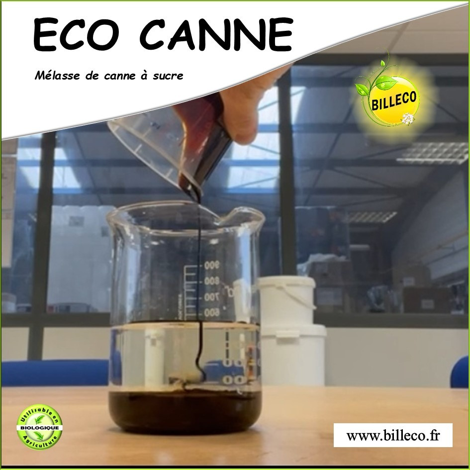 ECO CANNE - Mélasse de Canne industriel