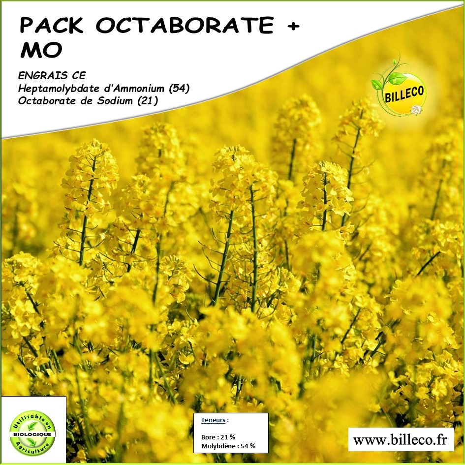 PACK BORE MOLYBDENE - Fertilisant UE / Octaborate de Sodium (21) + Heptamolybdate d&#039;Ammonium (54)