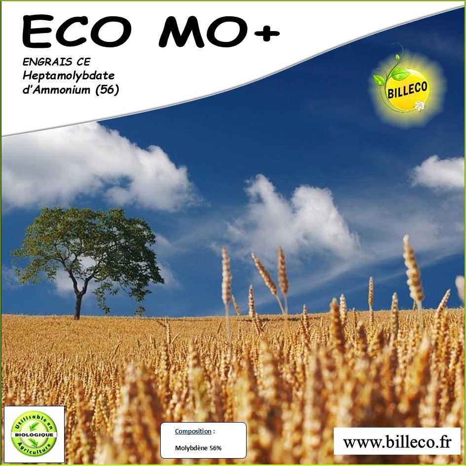 ECO MO+ - Engrais CE / Heptamolybdate d&#039;Ammonium (56)