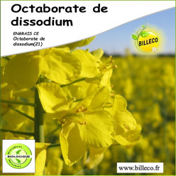 Octaborate de disodium - Engrais CE / Octaborate de Sodium (21)