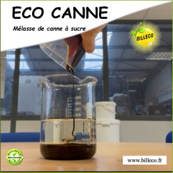 ECO CANNE - Mélasse de Canne industriel